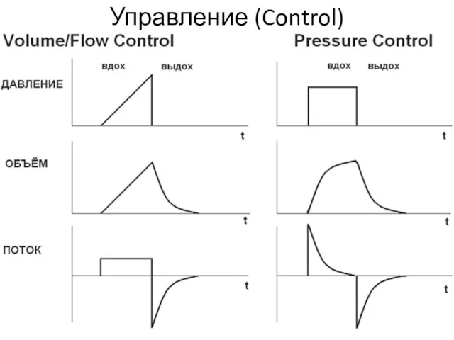 Управление (Control)