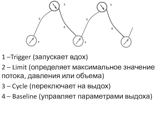 1 –Trigger (запускает вдох) 2 – Limit (определяет максимальное значение