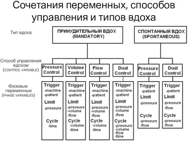 Сочетания переменных, способов управления и типов вдоха