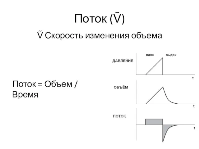 Поток (Ṽ) Поток = Объем / Время Ṽ Скорость изменения объема