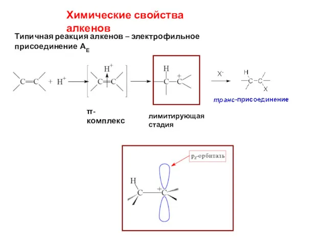 Химические свойства алкенов Типичная реакция алкенов – электрофильное присоединение АЕ π-комплекс лимитирующая стадия
