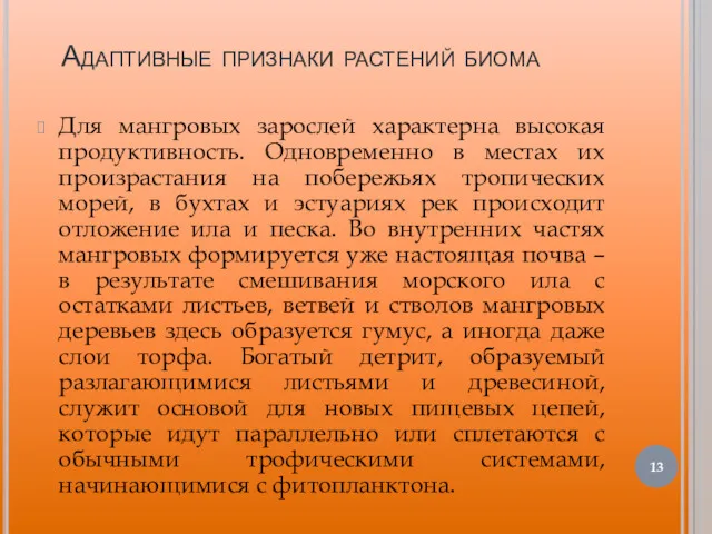 Адаптивные признаки растений биома Для мангровых зарослей характерна высокая продуктивность.