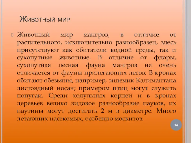 Животный мир Животный мир мангров, в отличие от растительного, исключительно