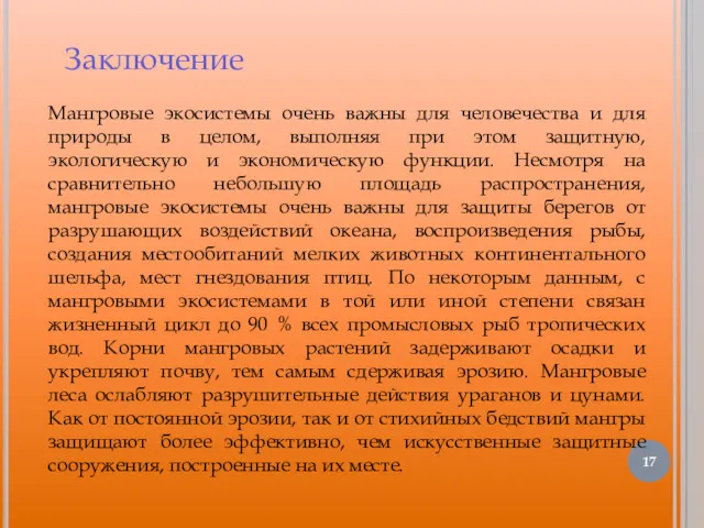 Мангровые экосистемы очень важны для человечества и для природы в