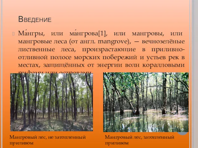 Введение Ма́нгры, или ма́нгрова[1], или мангровы, или мангровые леса (от