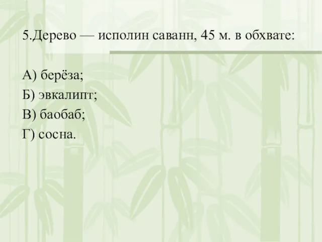 5.Дерево — исполин саванн, 45 м. в обхвате: А) берёза; Б) эвкалипт; В) баобаб; Г) сосна.