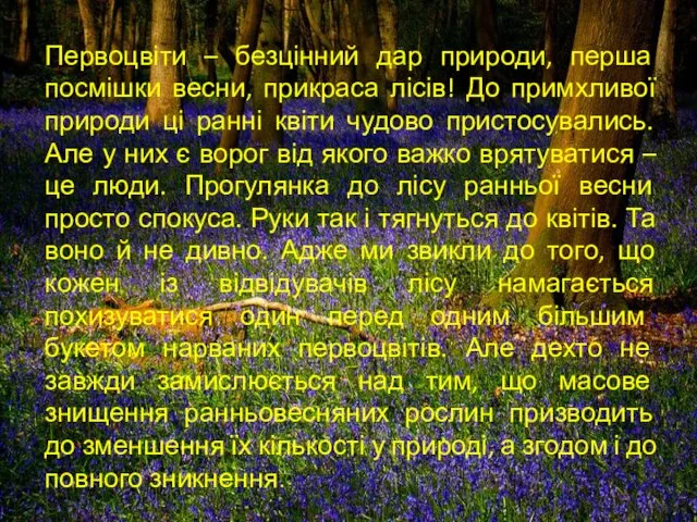 Первоцвіти – безцінний дар природи, перша посмішки весни, прикраса лісів!