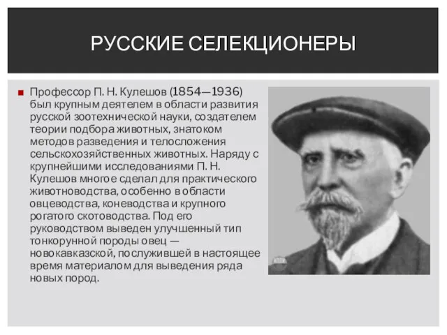 Профессор П. Н. Кулешов (1854—1936) был крупным деятелем в области развития русской зоотехнической