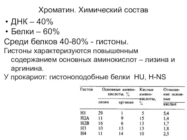 Хроматин. Химический состав ДНК – 40% Белки – 60% Среди