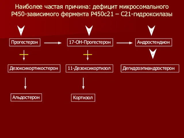 Наиболее частая причина: дефицит микросомального P450-зависимого фермента P450c21 – С21-гидроксилазы