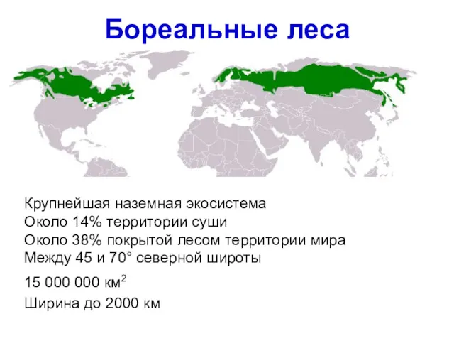Бореальные леса 15 000 000 км2 Ширина до 2000 км