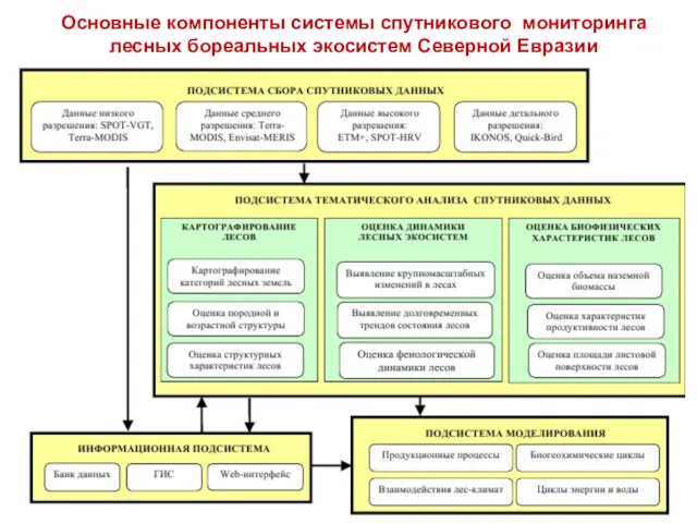 Основные компоненты системы спутникового мониторинга лесных бореальных экосистем Северной Евразии