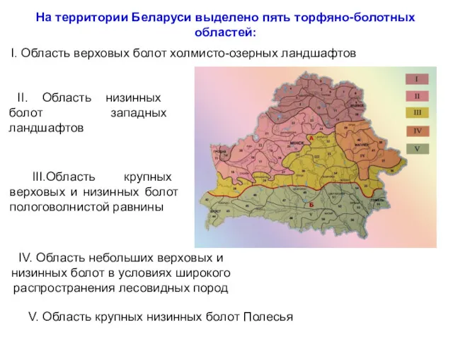 На территории Беларуси выделено пять торфяно-болотных областей: I. Область верховых