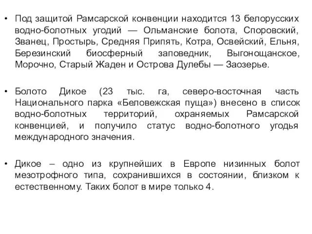 Под защитой Рамсарской конвенции находится 13 белорусских водно-болотных угодий —
