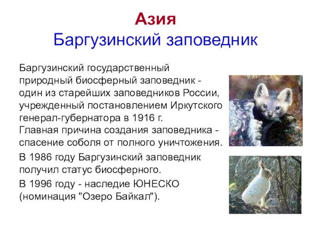 Азия Баргузинский заповедник Баргузинский государственный природный биосферный заповедник - один из старейших заповедников