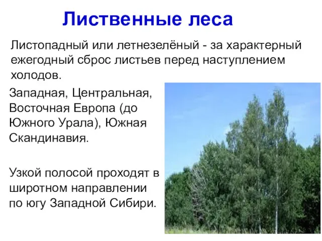 Лиственные леса Западная, Центральная, Восточная Европа (до Южного Урала), Южная