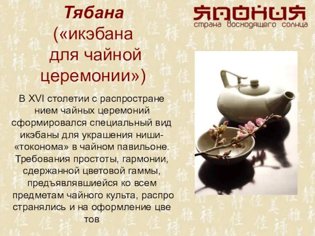 Тябана («икэбана для чайной церемонии») В XVI столетии с распростране­нием чайных церемоний сформиро­вался