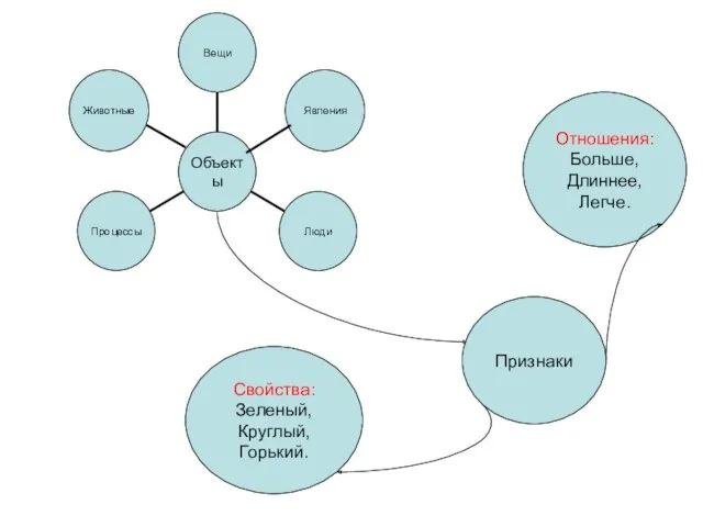 Признаки Свойства: Зеленый, Круглый, Горький. Отношения: Больше, Длиннее, Легче.