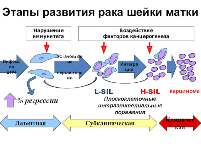 Нарушение иммунитета Воздействие факторов канцерогенеза Инфекция ВПЧ Плоскоклеточные интраэпителиальные поражения