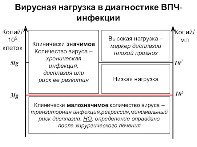 Вирусная нагрузка в диагностике ВПЧ-инфекции