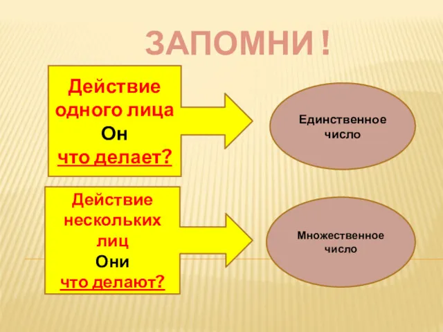 Действие одного лица Он что делает? Действие нескольких лиц Они