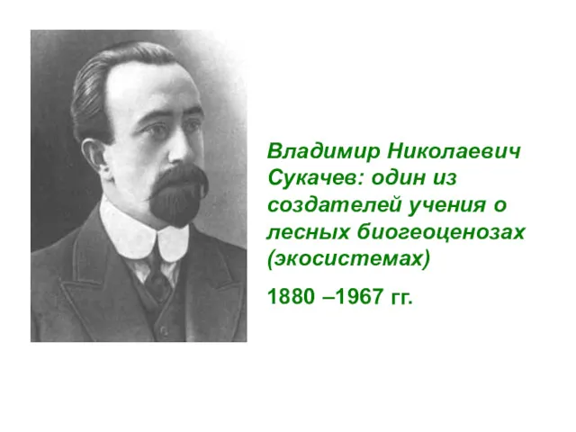 Владимир Николаевич Сукачев: один из создателей учения о лесных биогеоценозах (экосистемах) 1880 –1967 гг.