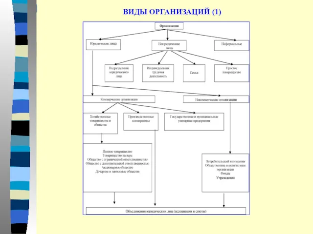 ВИДЫ ОРГАНИЗАЦИЙ (1)