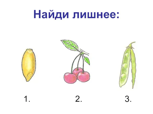 Найди лишнее: 1. 2. 3.