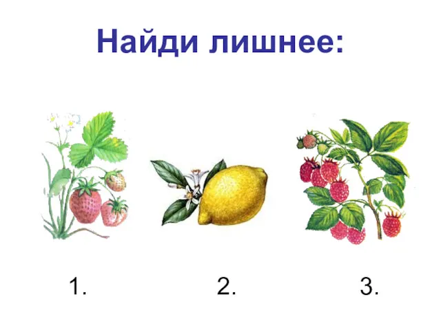 Найди лишнее: 1. 2. 3.