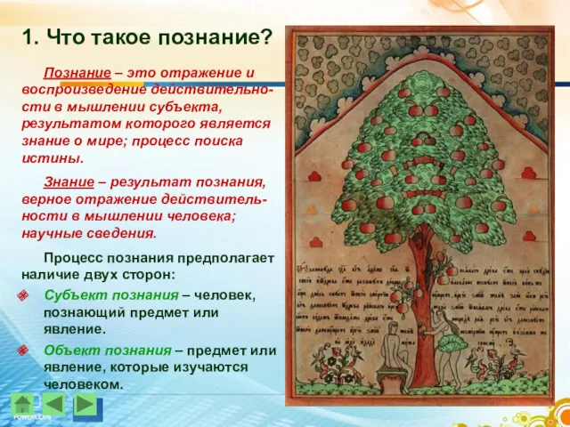 1. Что такое познание? Познание – это отражение и воспроизведение