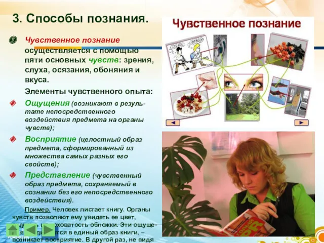 3. Способы познания. Чувственное познание осуществляется с помощью пяти основных