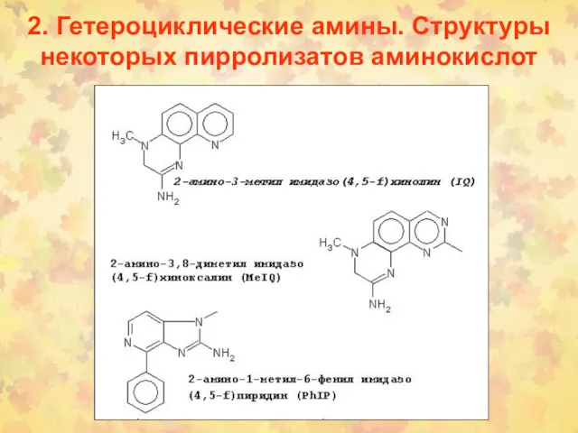 2. Гетероциклические амины. Структуры некоторых пирролизатов аминокислот