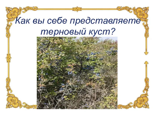 Как вы себе представляете терновый куст?