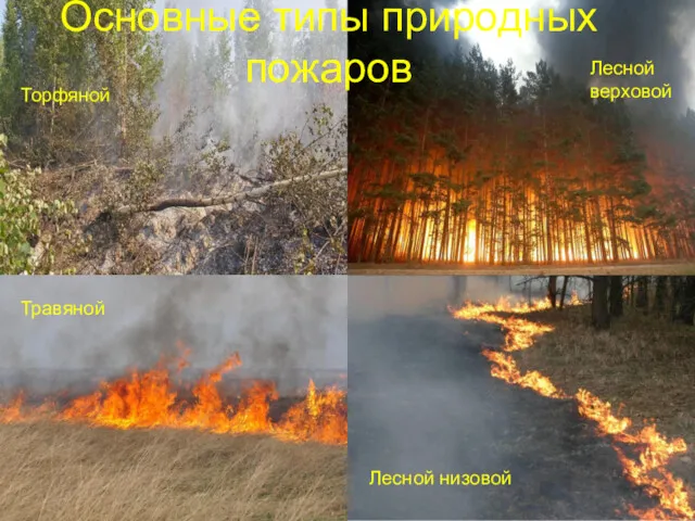 Основные типы природных пожаров Лесной низовой Травяной Лесной верховой Торфяной