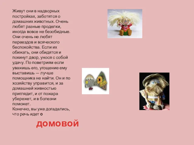 Живут они в надворных постройках, заботятся о домашних животных. Очень