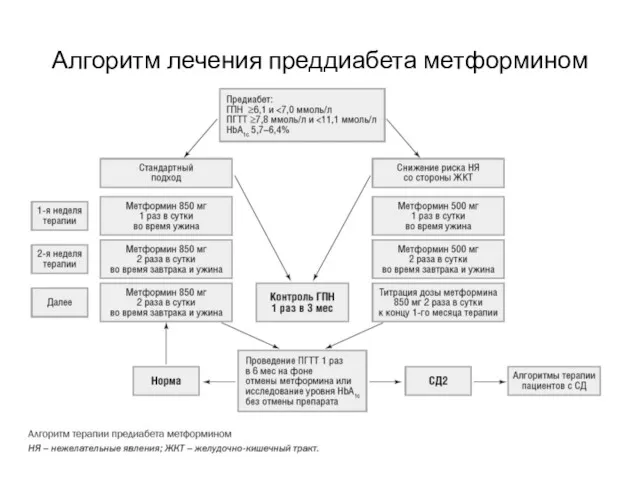 Алгоритм лечения преддиабета метформином