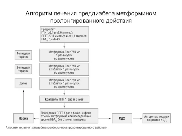 Алгоритм лечения преддиабета метформином пролонгированного действия