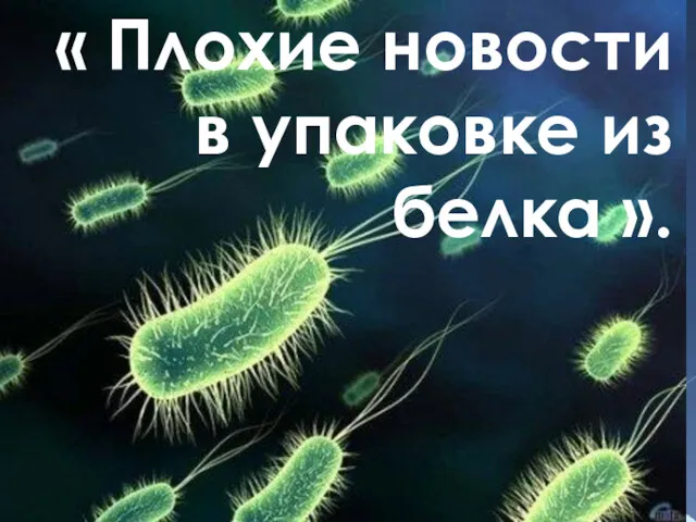 « Плохие новости в упаковке из белка ».