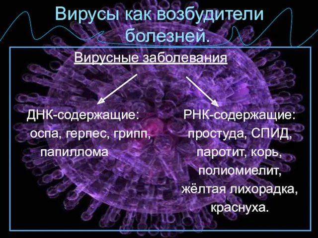 Вирусы как возбудители болезней. Вирусные заболевания ДНК-содержащие: РНК-содержащие: оспа, герпес,