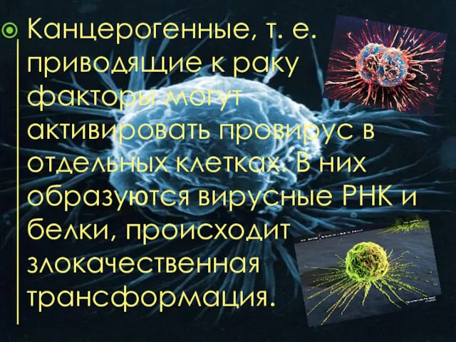 Канцерогенные, т. е. приводящие к раку факторы могут активировать провирус