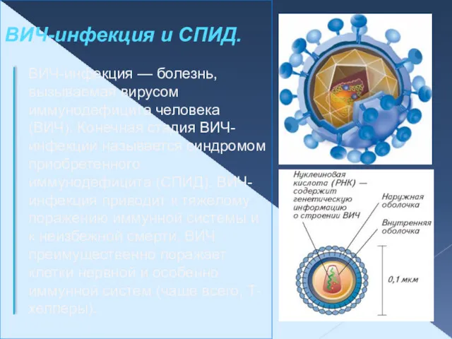 ВИЧ-инфекция и СПИД. ВИЧ-инфекция — болезнь, вызываемая вирусом иммунодефицита человека