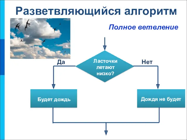 Полное ветвление Разветвляющийся алгоритм