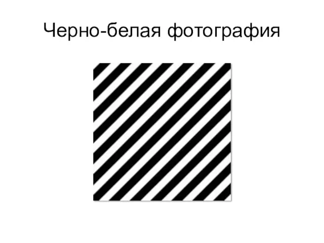 Черно-белая фотография