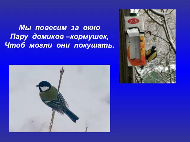 Мы повесим за окно Пару домиков –кормушек, Чтоб могли они покушать.