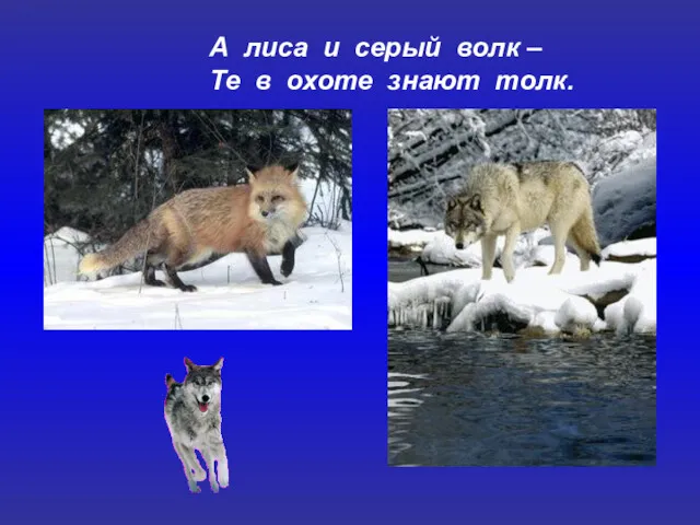 А лиса и серый волк – Те в охоте знают толк.