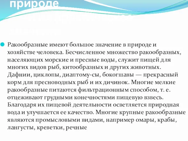 Роль ракообразных в природе и их практическое значение. Ракообразные имеют