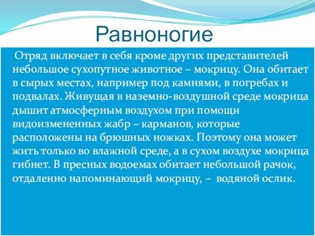 Равноногие Отряд включает в себя кроме других представителей небольшое сухопутное