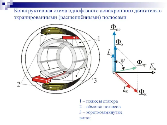 1 – полюсы статора 2 – обмотка полюсов 3 –