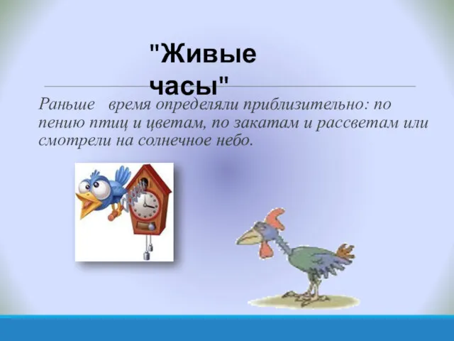 Раньше время определяли приблизительно: по пению птиц и цветам, по