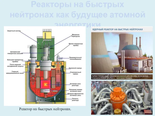 Реакторы на быстрых нейтронах как будущее атомной энергетики Реактор на быстрых нейтронах.